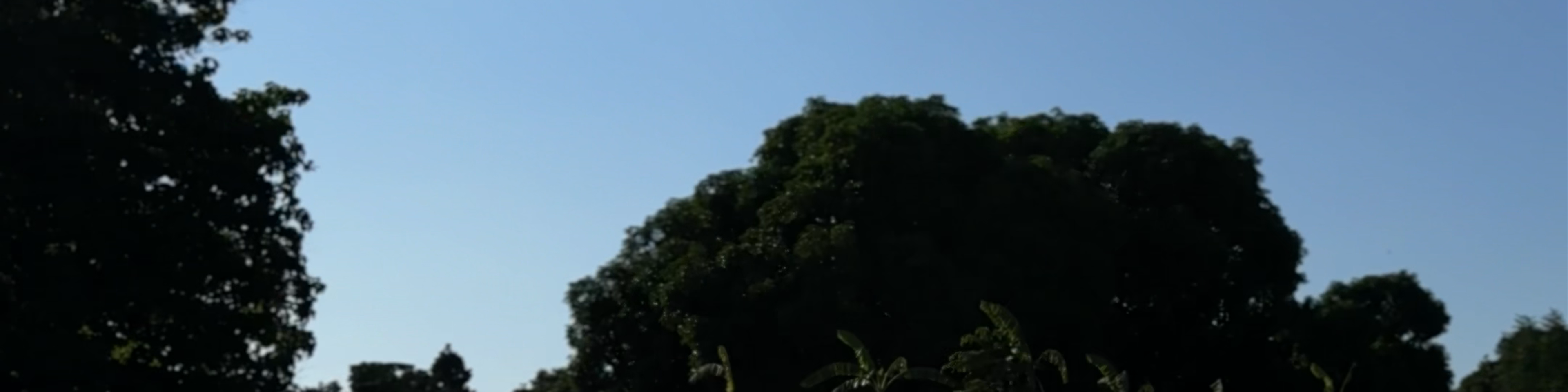 Bayambang