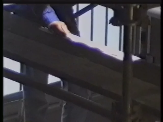 Human Elevator