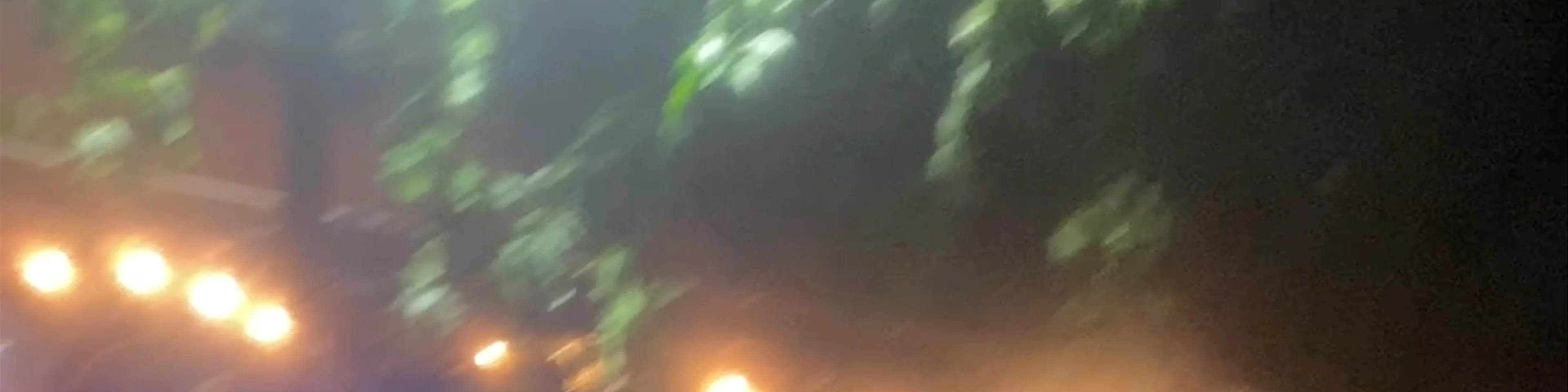 El Mexican Santa Marta