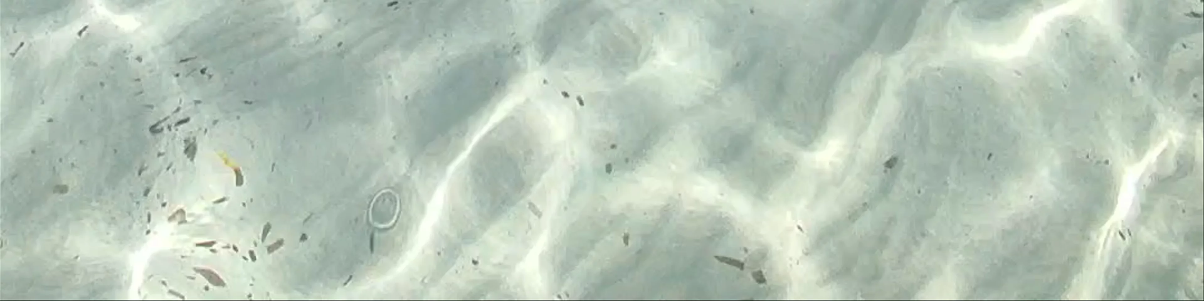 Spiaggia la Pelosa