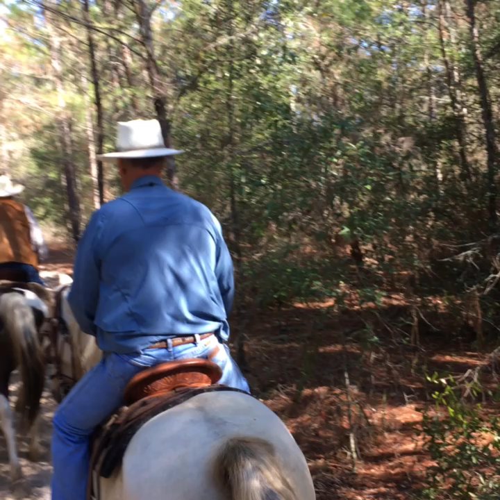 Cactus Jack's Trail Rides - Encountered some real cowboys! - Horseback Riding Near Me - Ocala, Florida