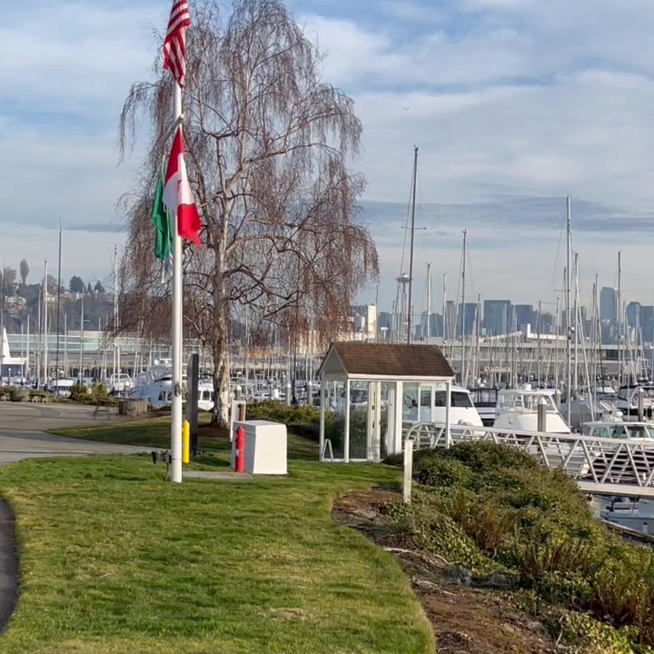 Maggie Bluffs - Views from the walking path - Seafood Near Me - Seattle, Washington