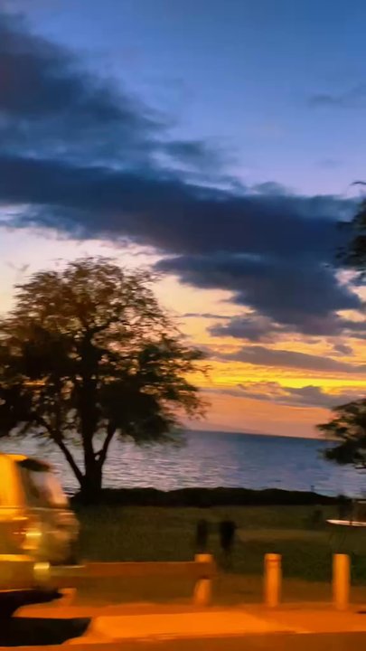 Maui Fish'n Chips - Perfect stop for a quick dinner on the road - Seafood Near Me - Kihei, Hawaii