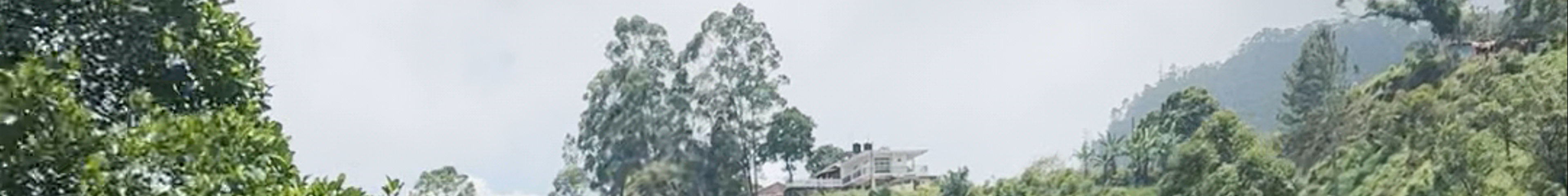 Tours & experiences in Ella Town