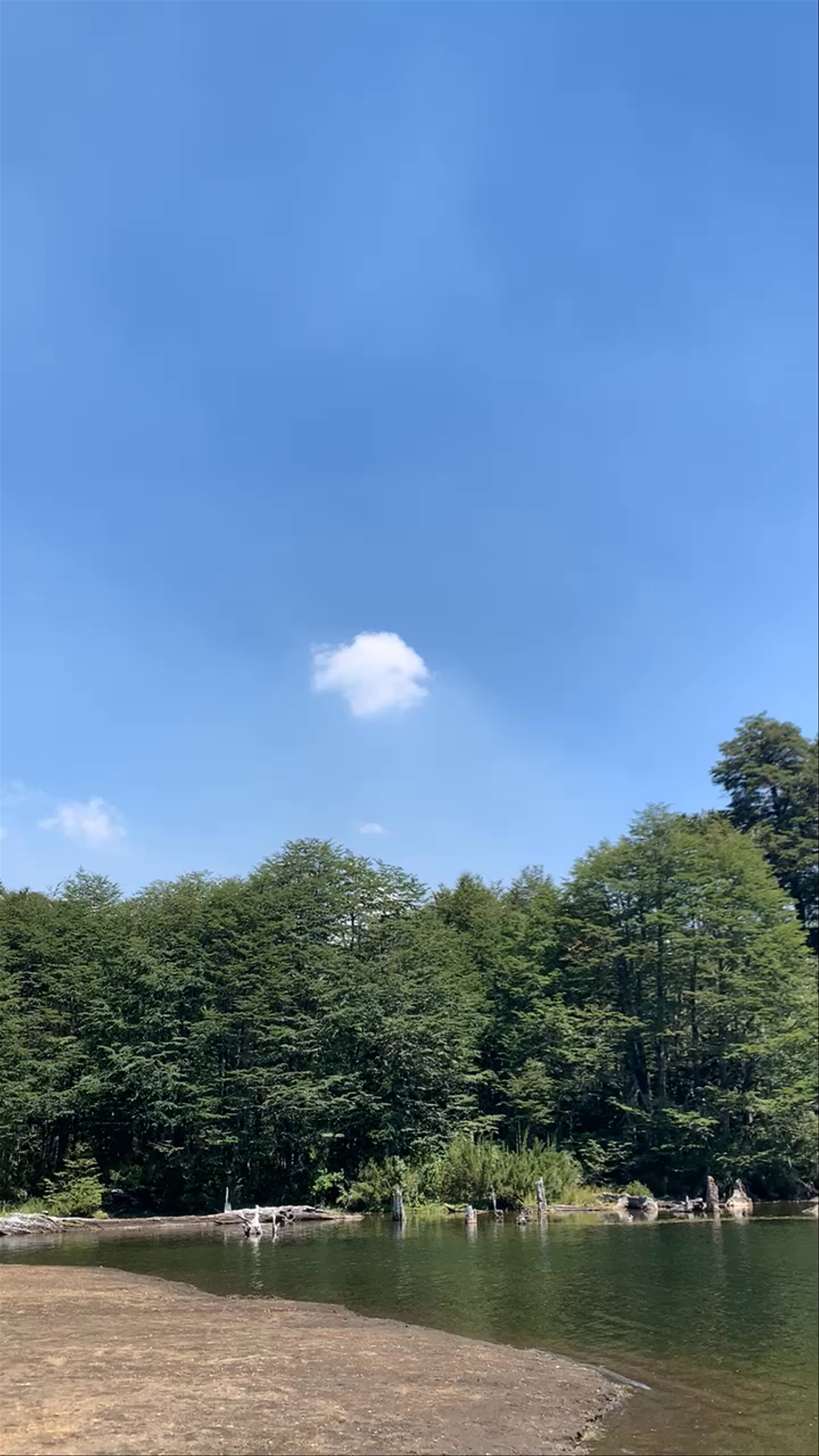 Parque Conguillio - S-11-R