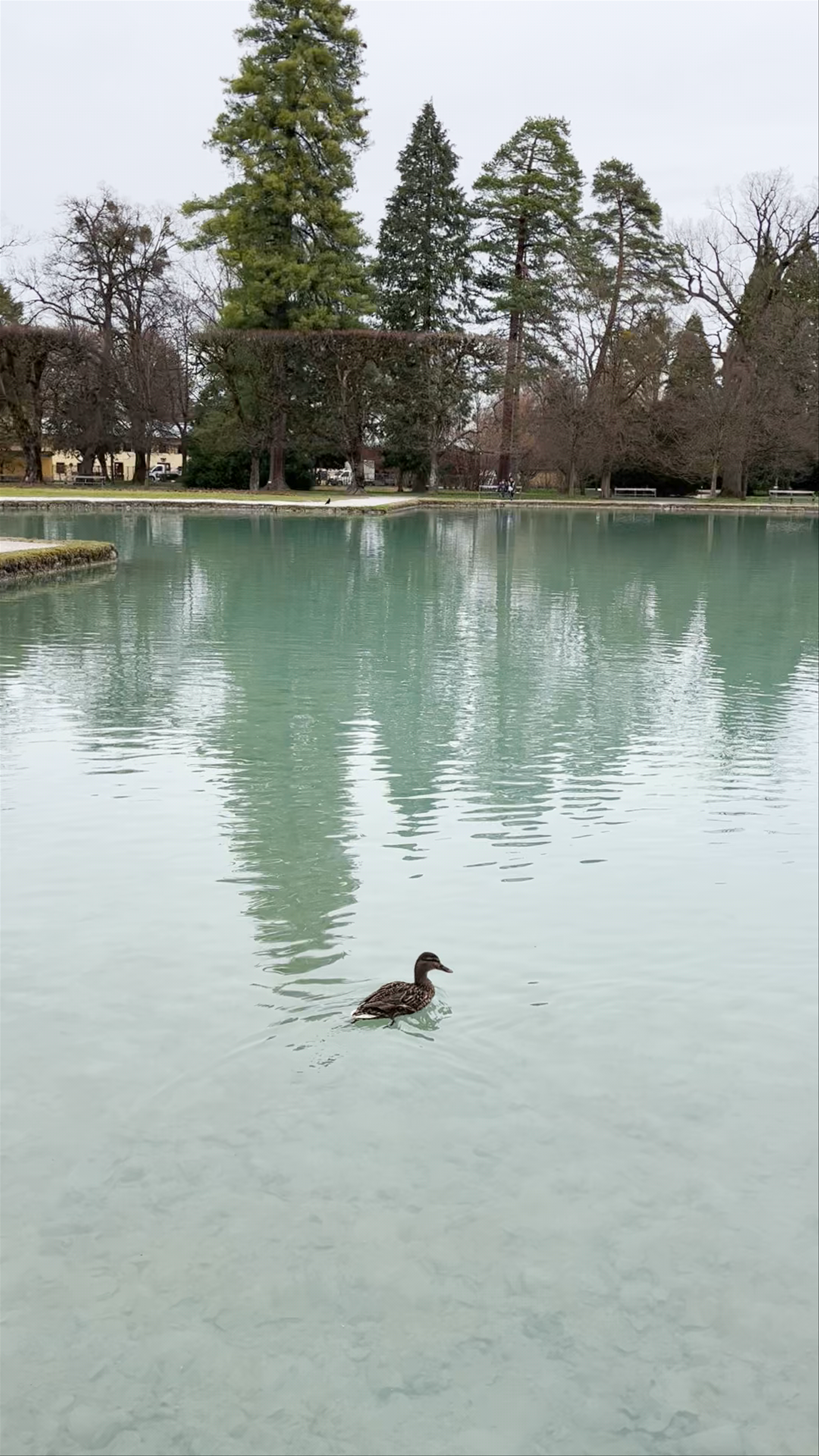Serene Winter Stroll at Schloss Hellbrunn Garten, Salzburg
