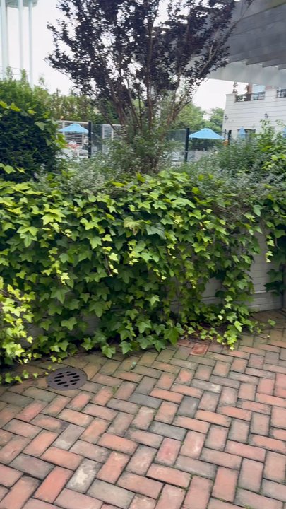 Juniper - Patio - New American Near Me - Westbury, New York