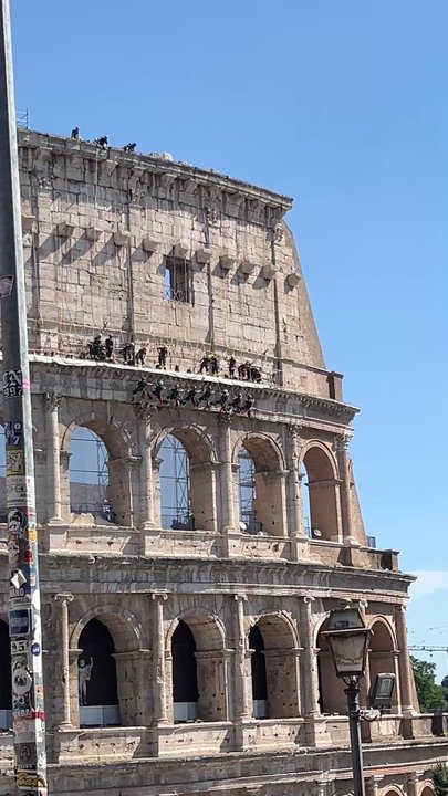 Colosseo - Local Flavor Near Me - Rome, RM