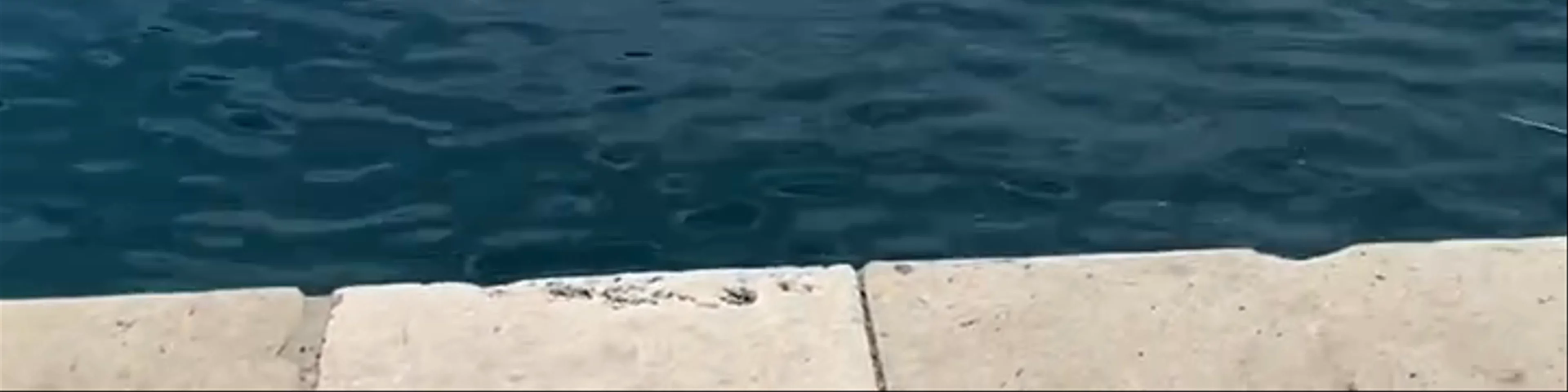 CAVTAT - DUBROVNIK TOURIST BOARD