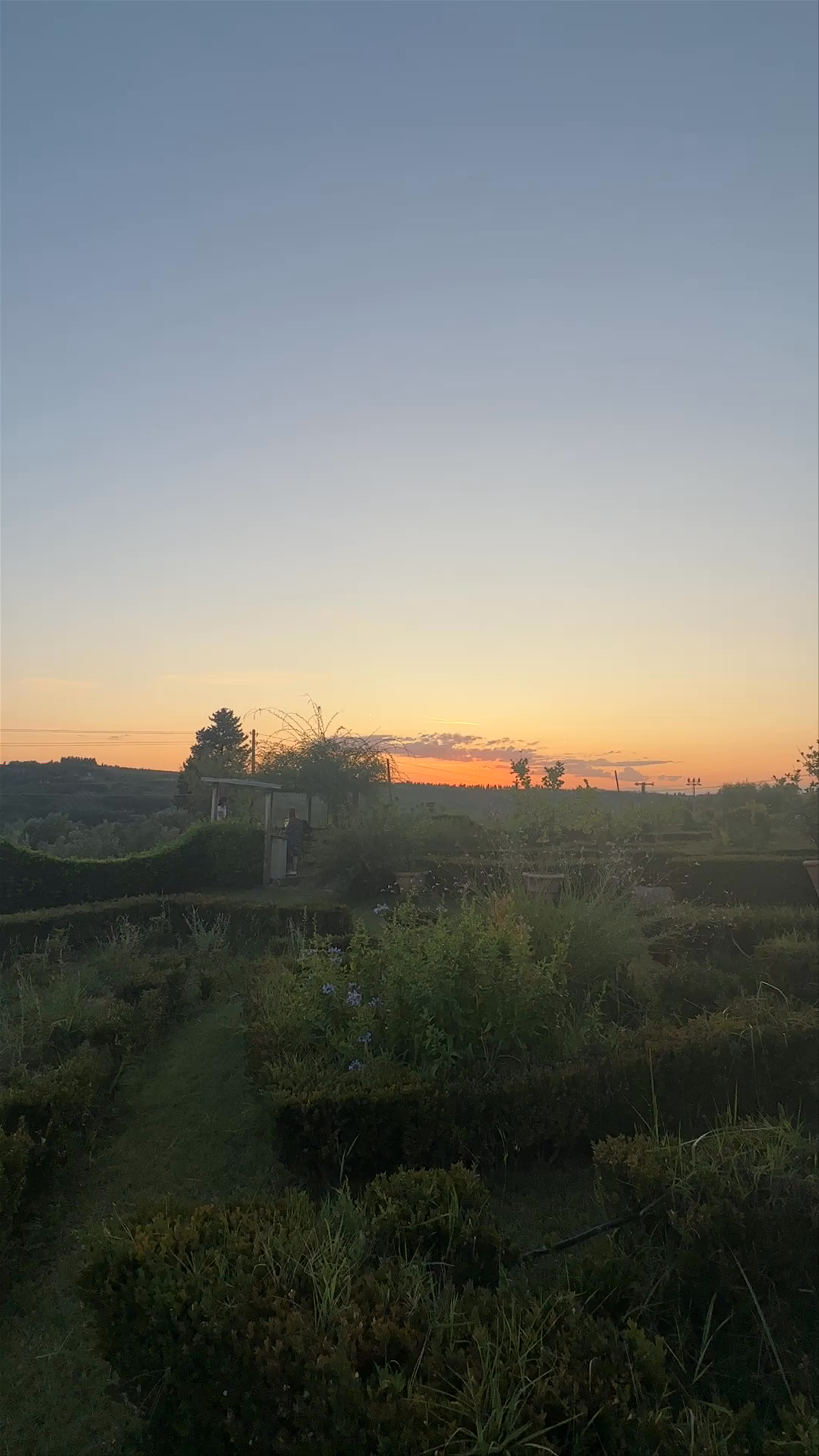 Sunset Serenity at Fattoria Castel Ruggero in Bagno a Ripoli, Italy