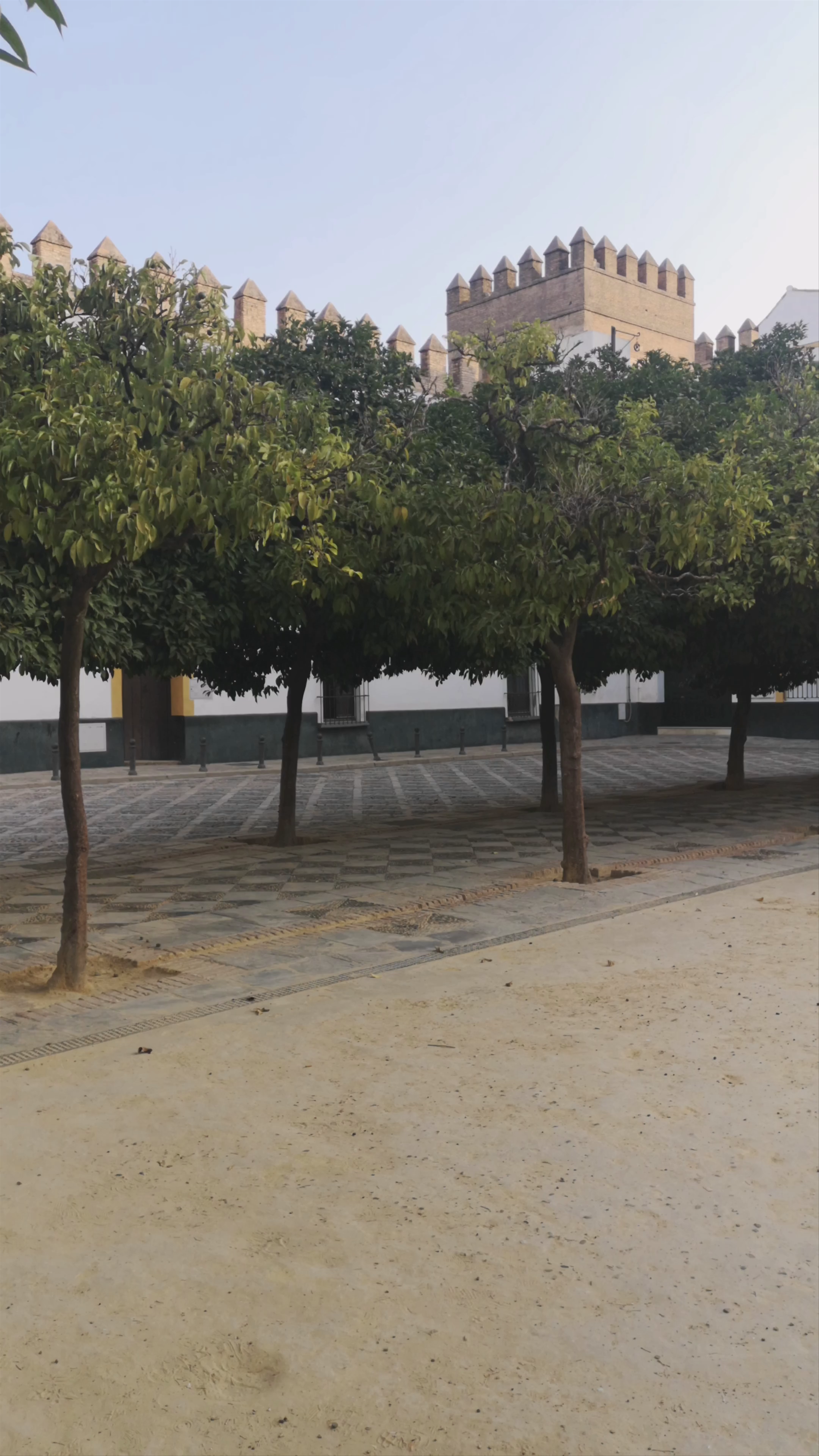 Tranquil Afternoon at Patio de Banderas, Seville