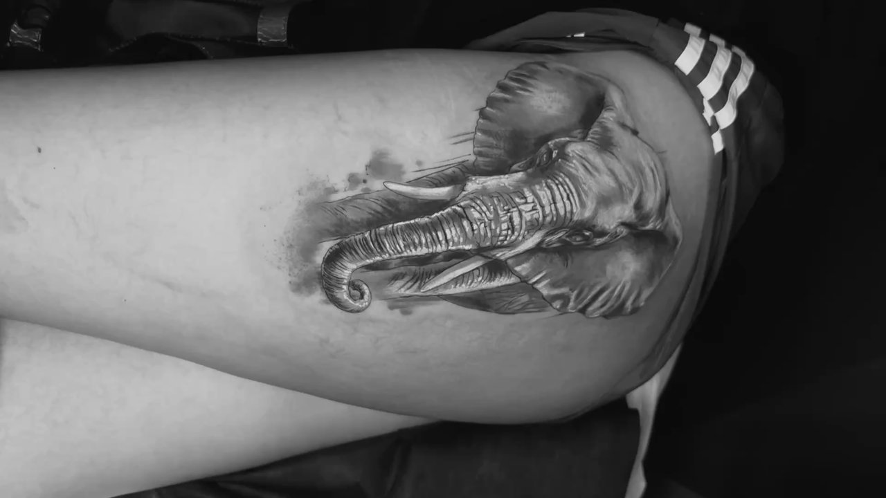 Cleopatra Ink Tattoo & Piercing Berkeley Studio - Tattoo Near Me - Berkeley, California