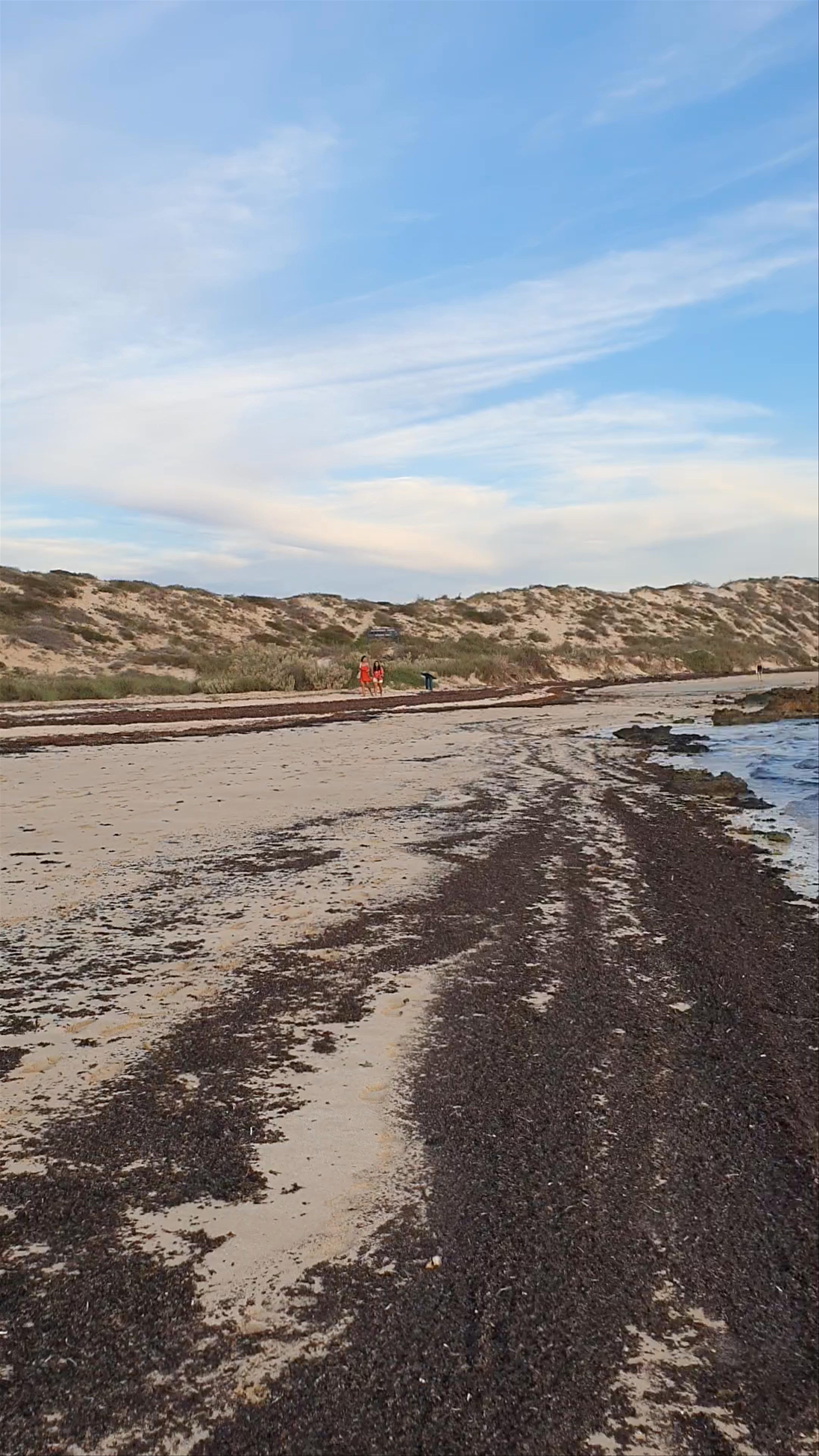 Exploring Shark Sanctuary Beach - Pristine Coastal Escape in Lyndon, Western Australia