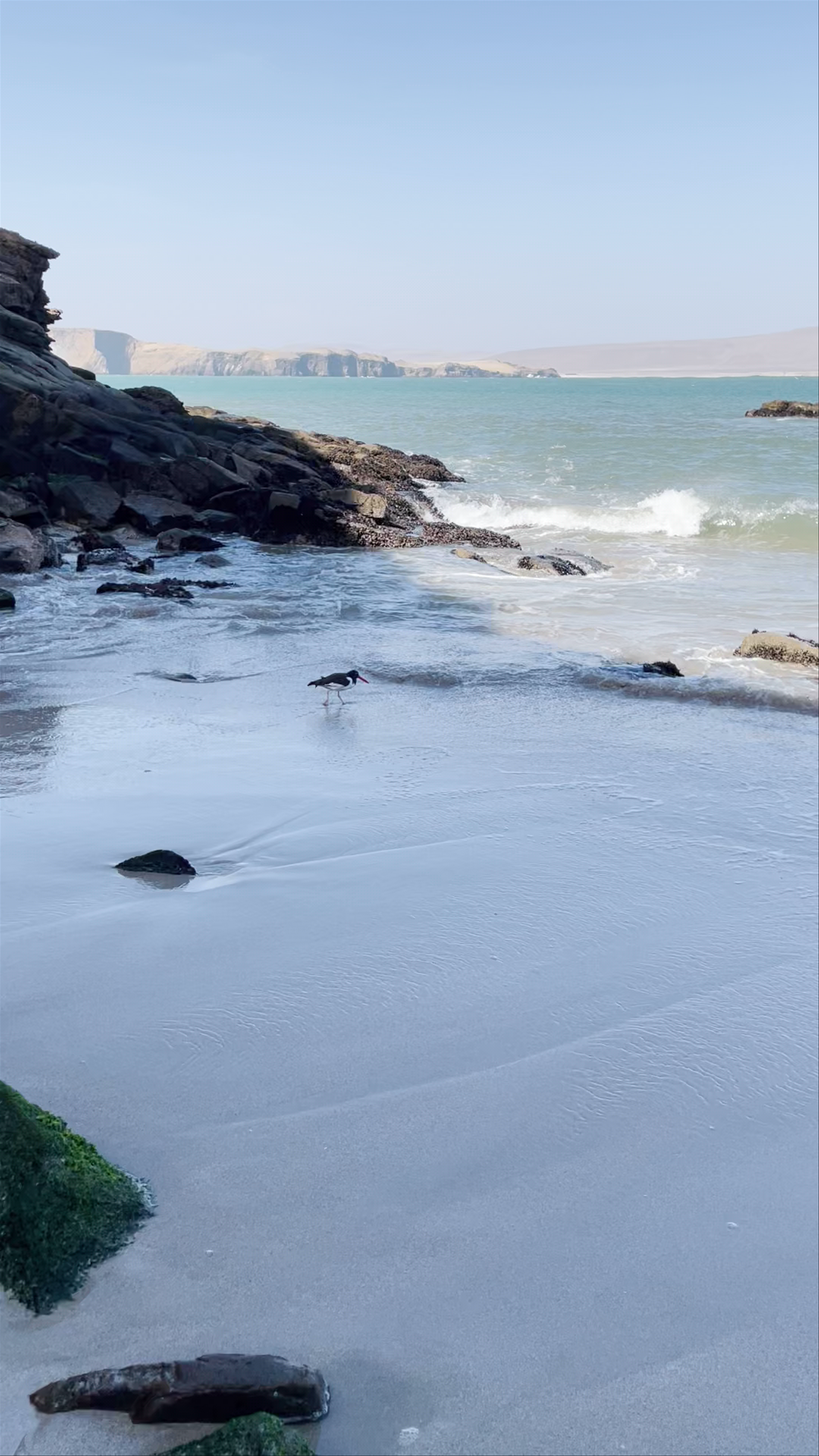 Playa La Mina Pisco
