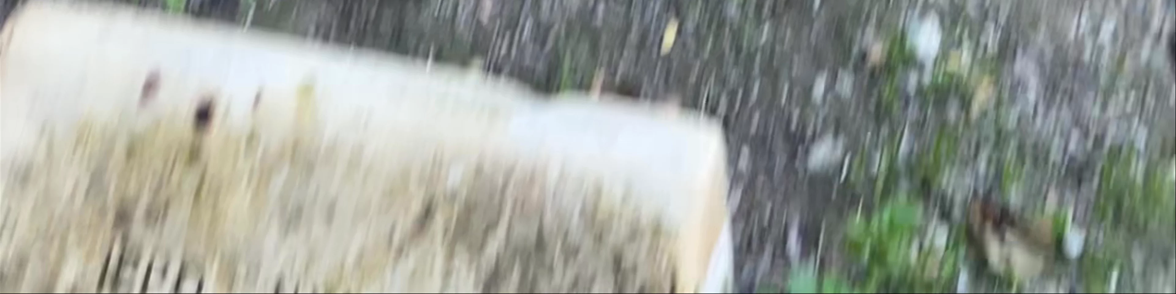 Iero Nymfēs
