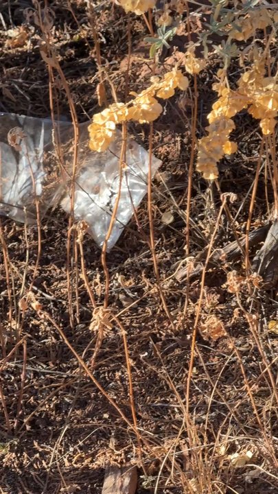 Ghost Ranch - A myriad of trash and junk around our site. Not very outdoorsy. - Museums Near Me - Abiquiu, New Mexico