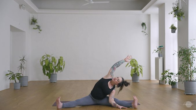 Chill Vinyasa w/Alex