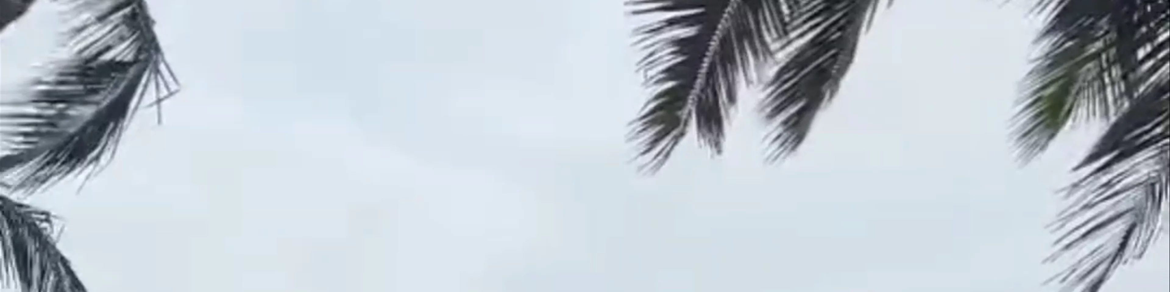 La Bamba by Bambolim Beach Resort