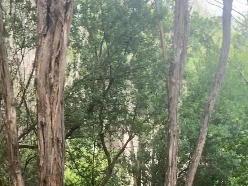 Peninsula hot springs