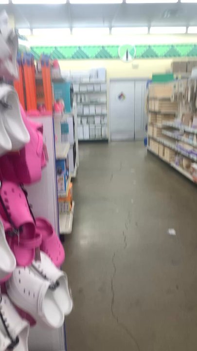 Dollar Tree - Small circle video of the inside - Discount Store Near Me - Colma, California
