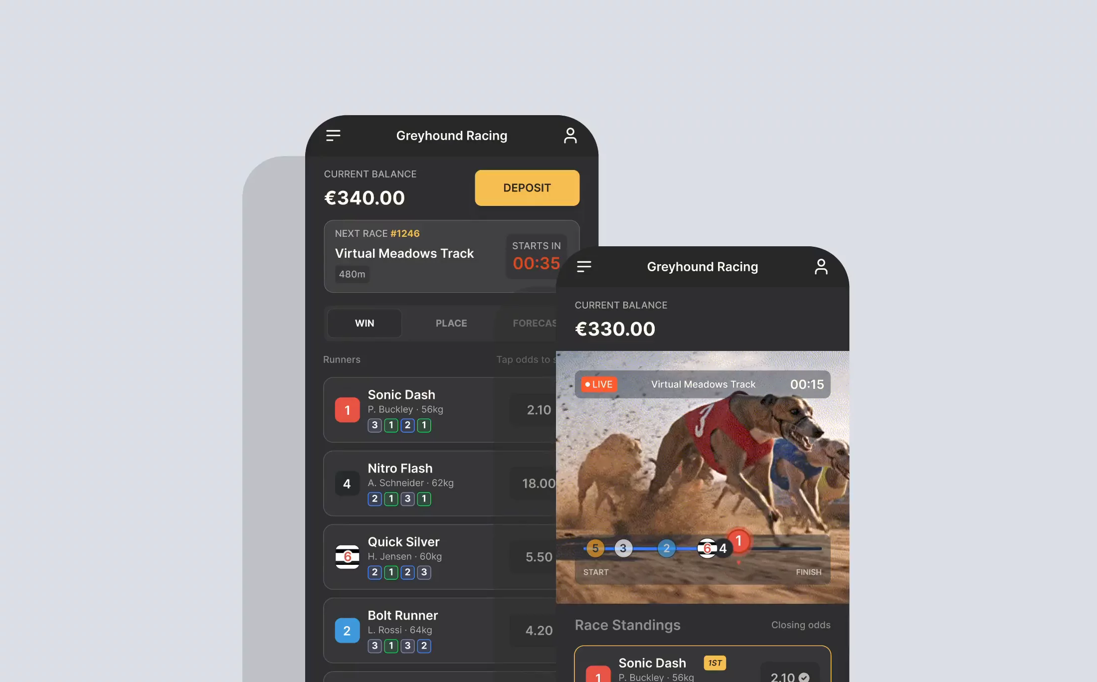 I built a design system for a greyhound betting app, setting up a clear token structure that kept the experience consistent across platforms and made it much easier to scale and update.