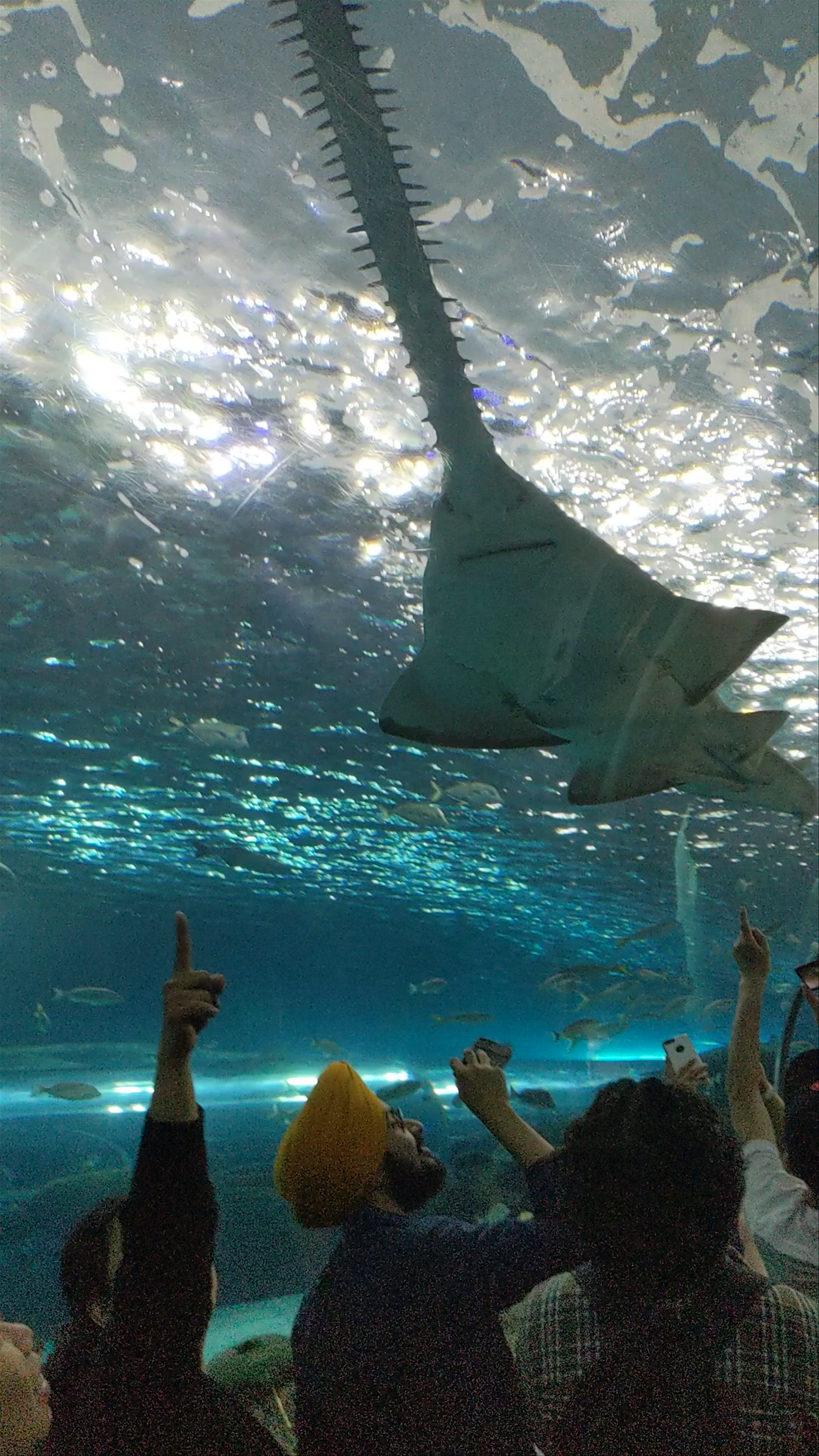 Ripley's Aquarium of Canada