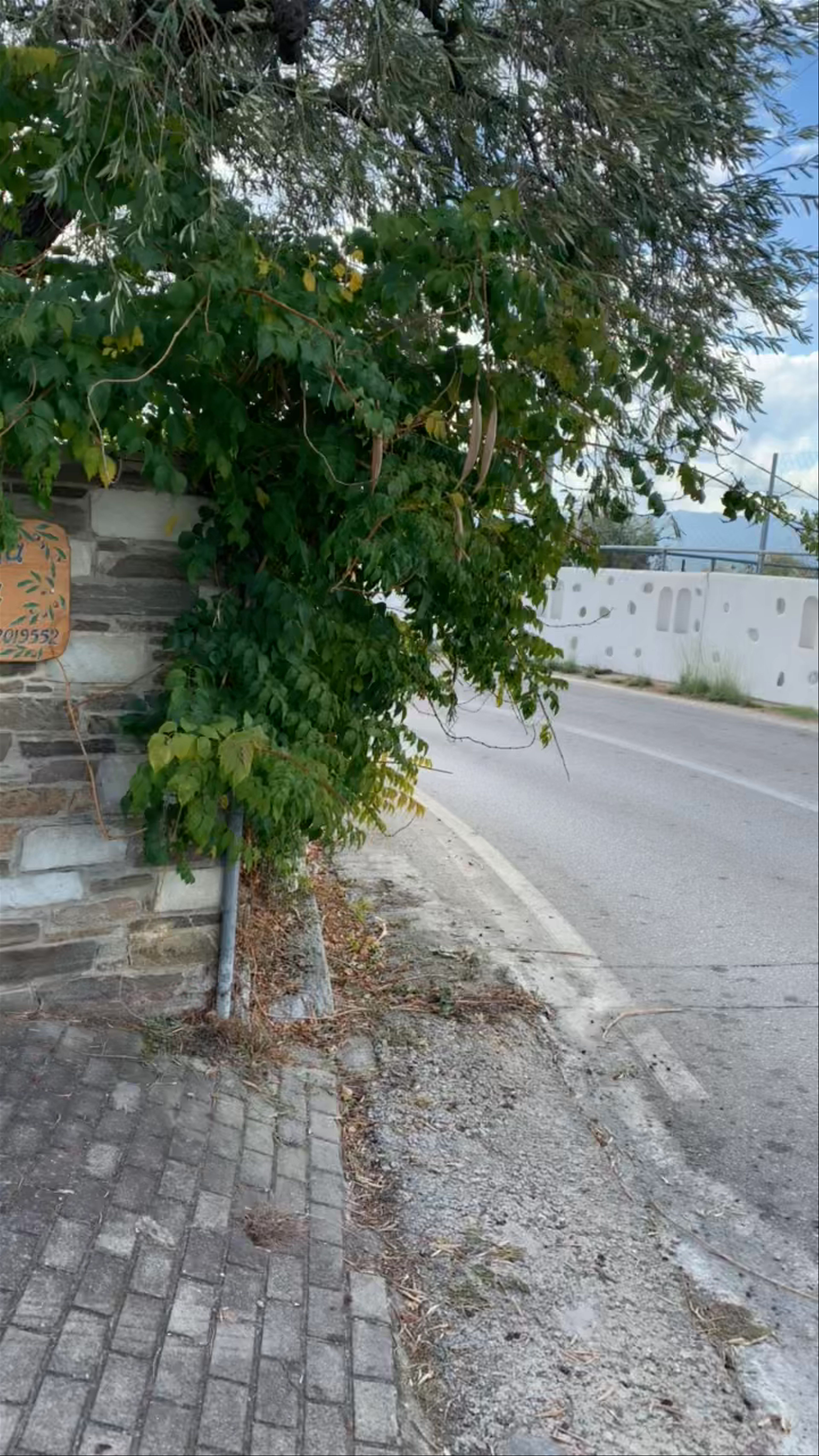 ΒίλλαΦανούλαVillaFanoula