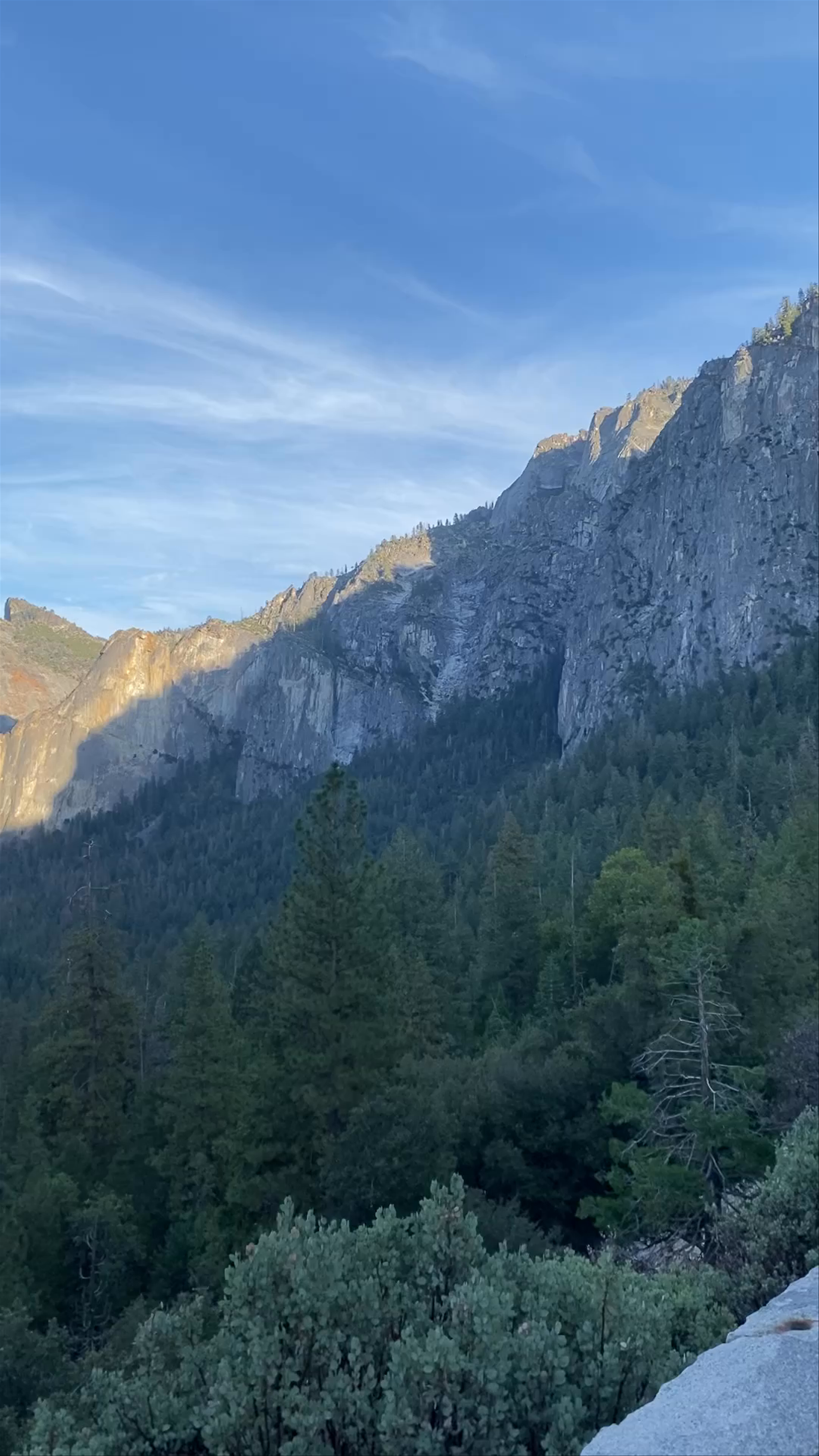 Tunnel view
