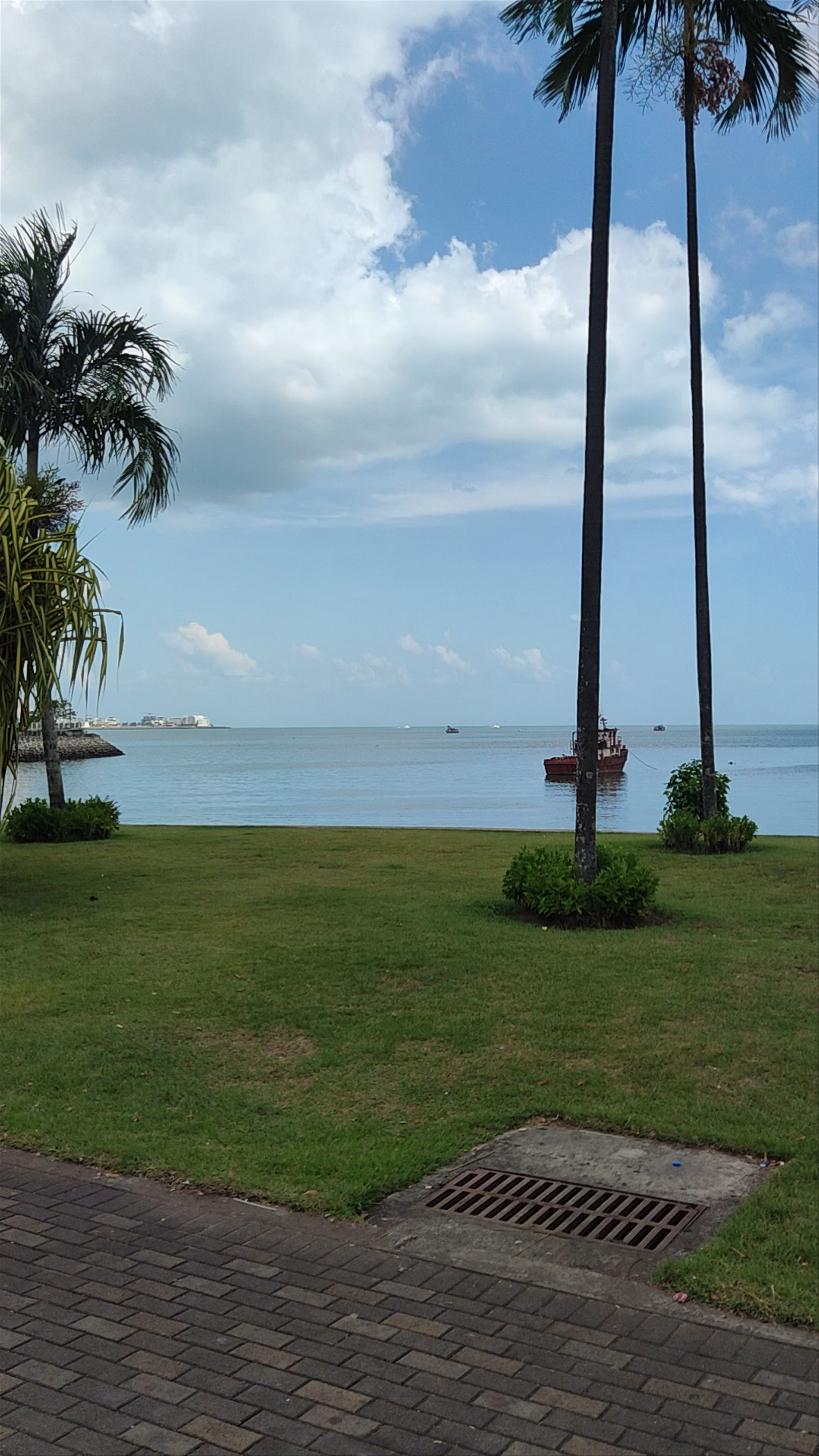 Mirador del Pacífico