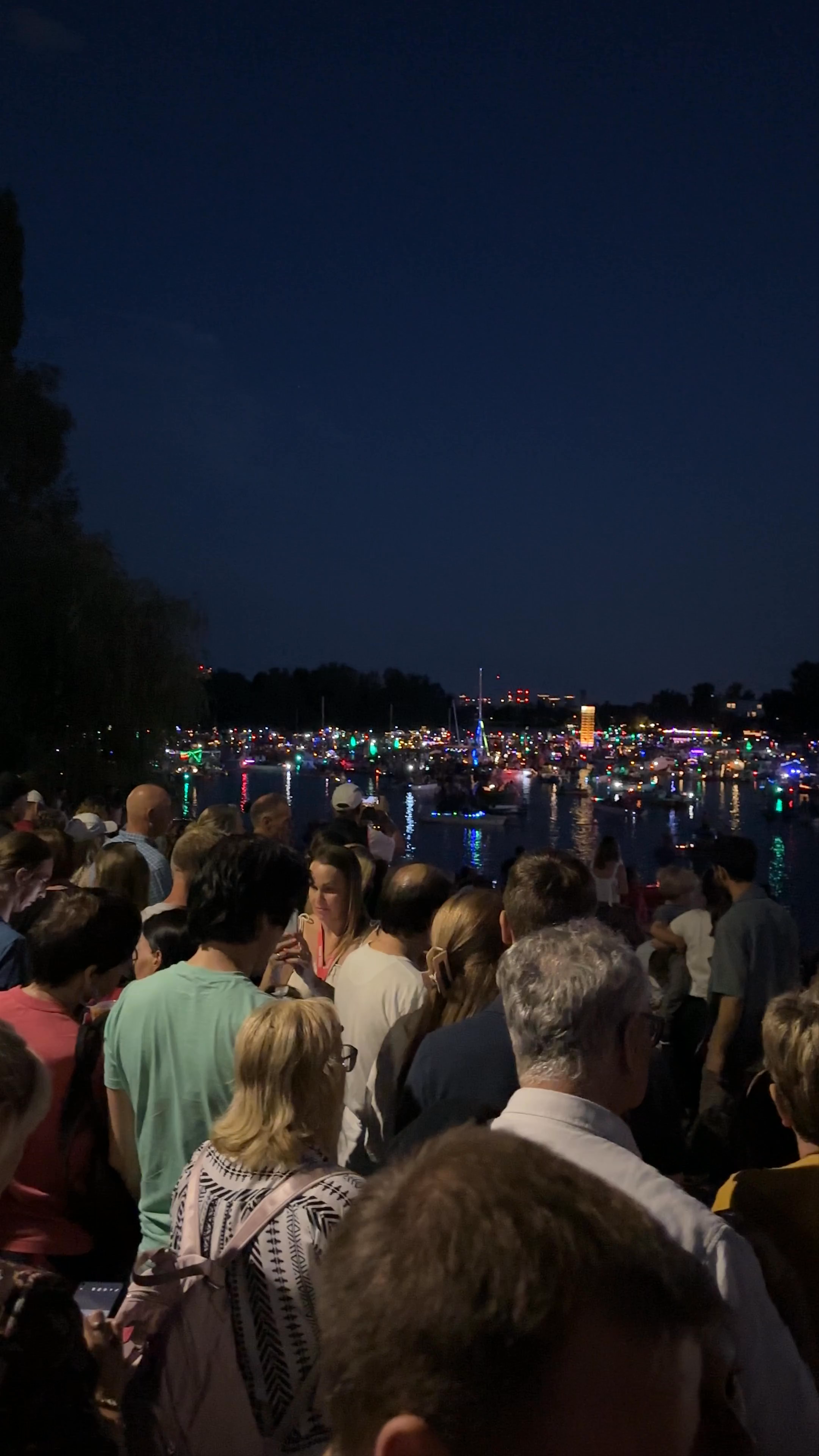 Alte Donau Night Festival: Illuminated Boat Parade in Vienna