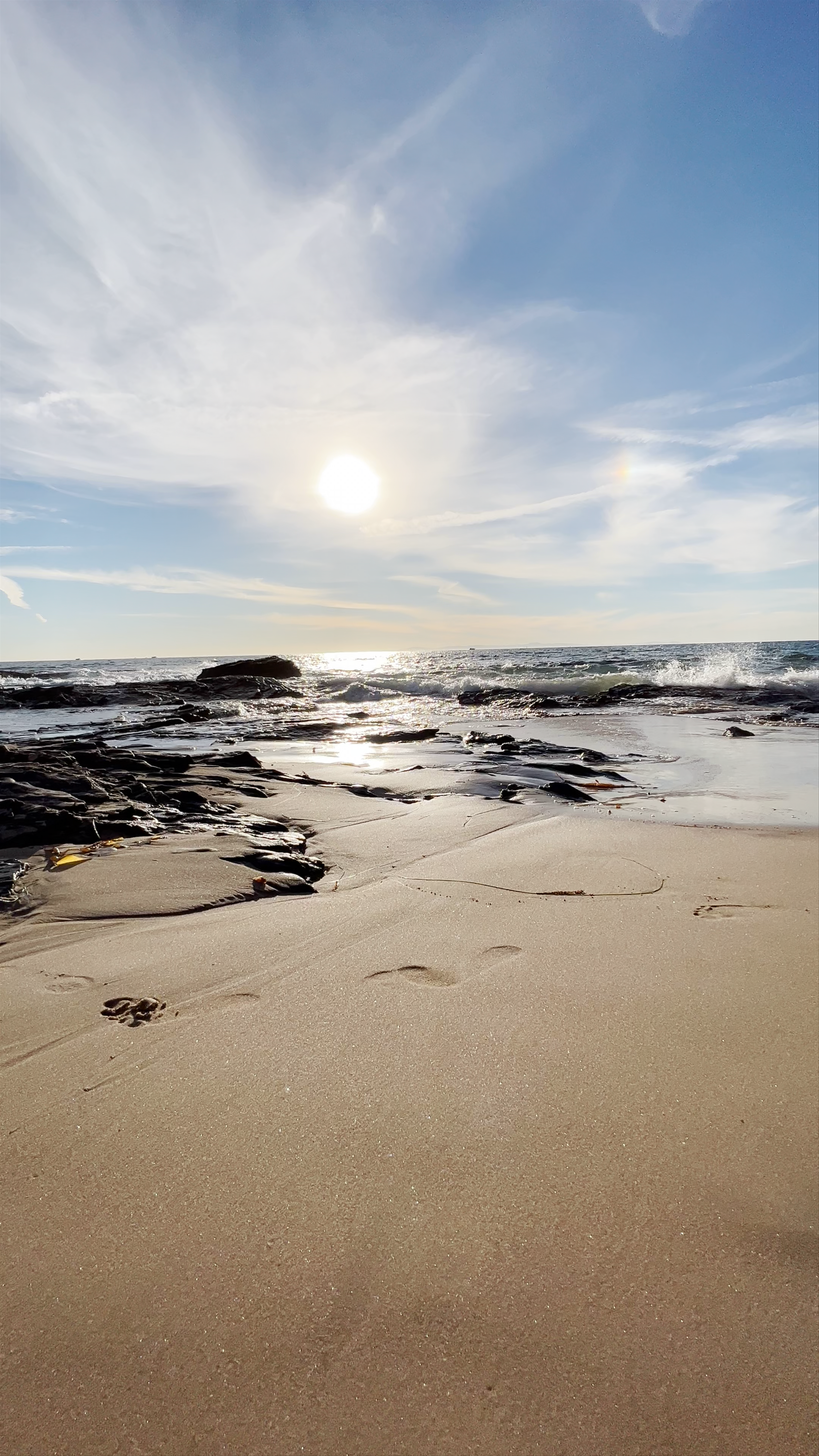 Crystal Cove State Beach