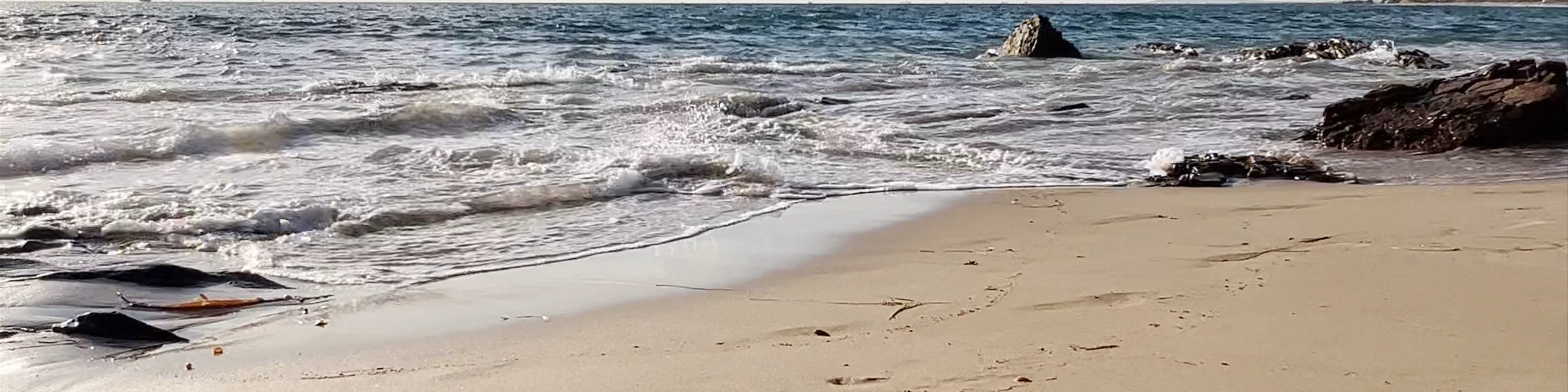 Crystal Cove State Beach