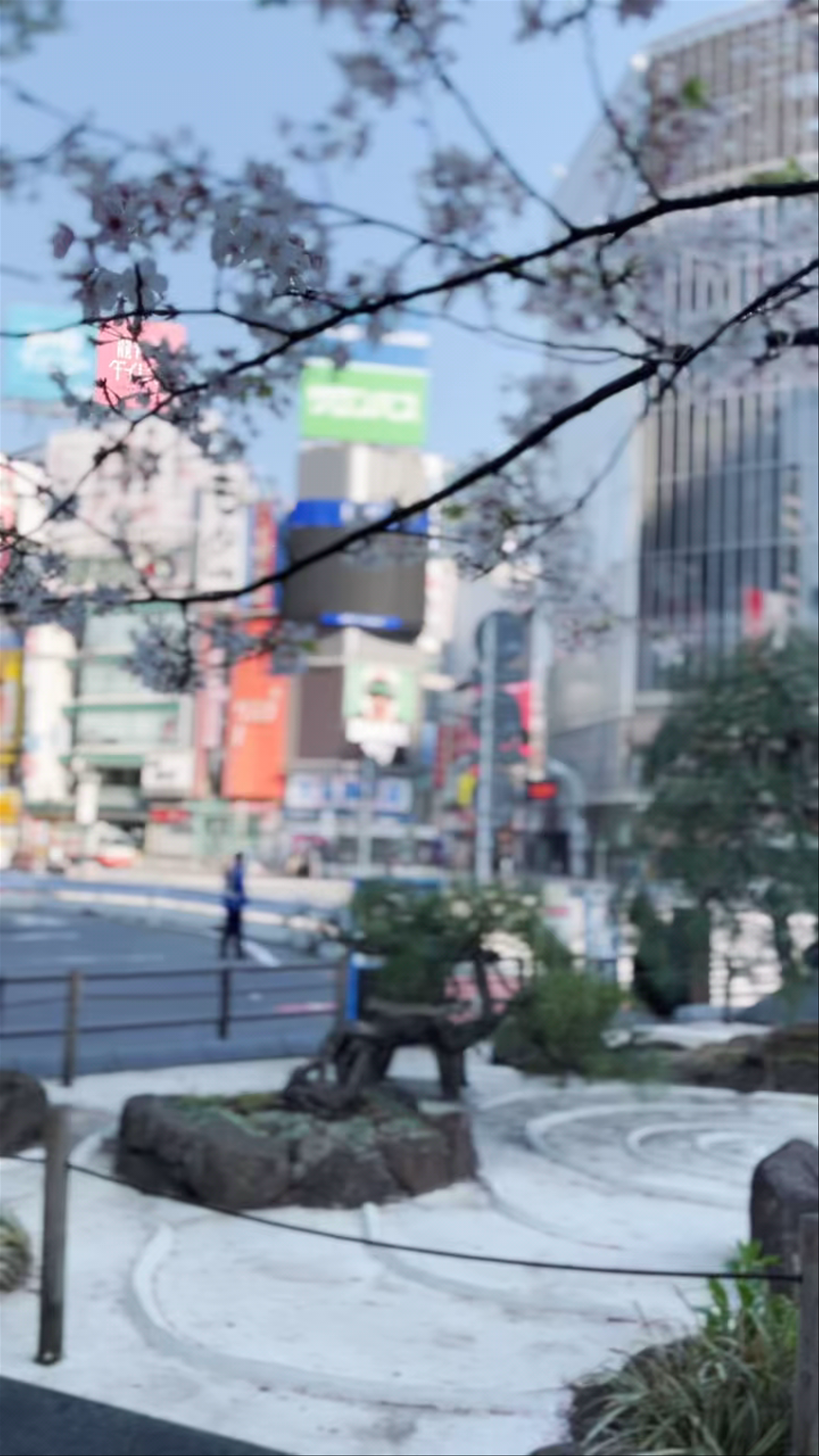 Hachikō Memorial Statue