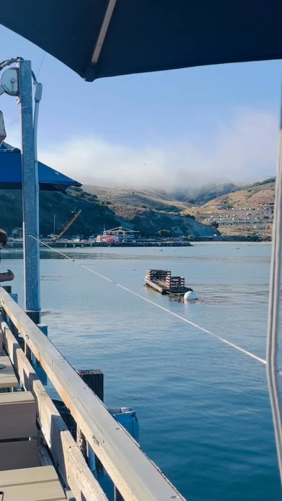 Mersea's - Beautiful views - Bars Near Me - Avila Beach, California