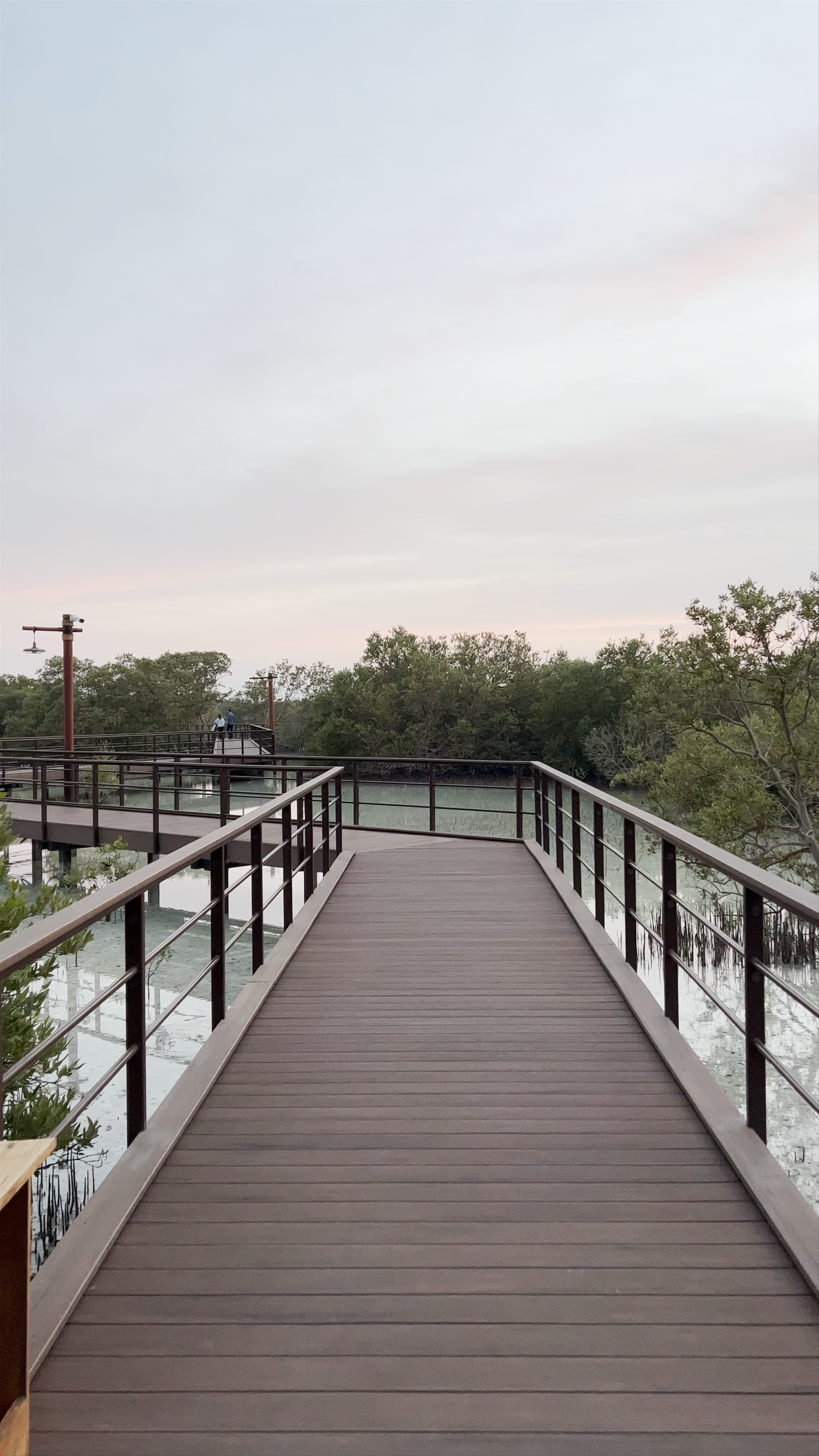 Sunset Serenity at Jubail Mangrove Park - Abu Dhabi