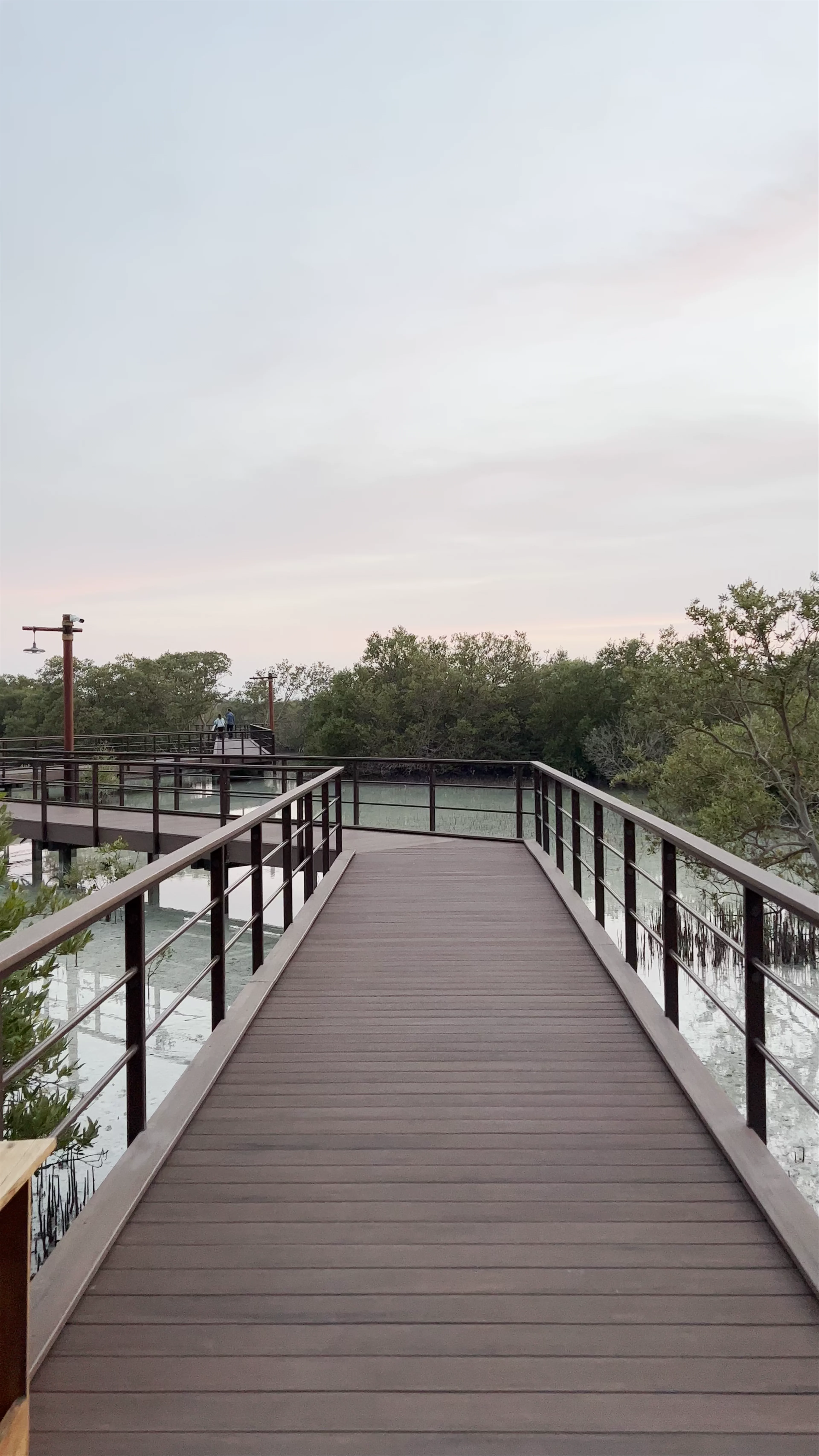 Jubail Mangrove Park
