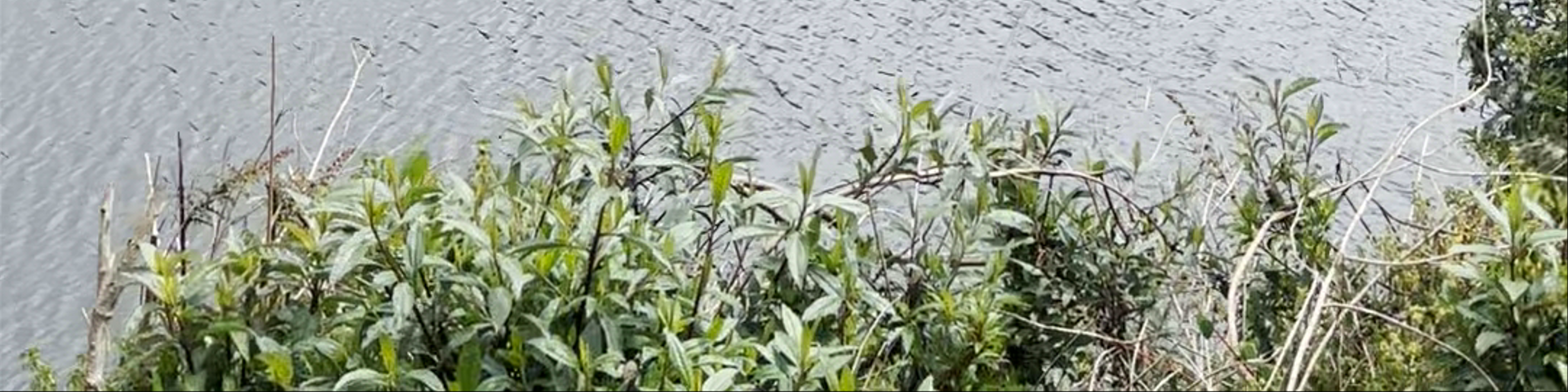 Ecuador