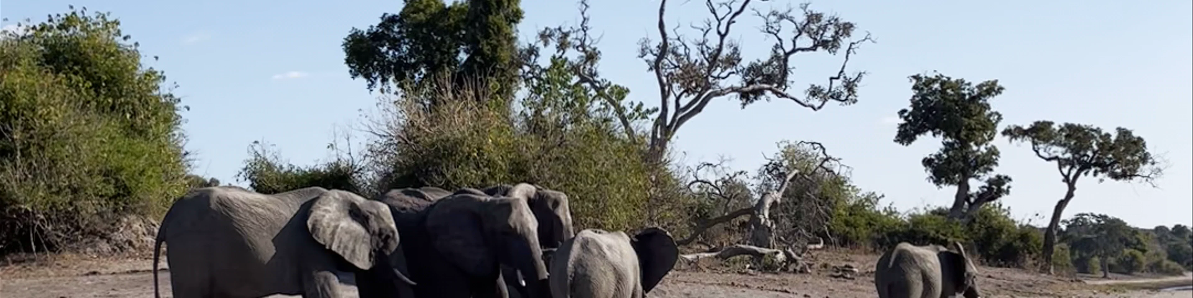 Chobe National Park