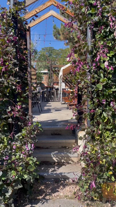 St. Marks Coffee House - The patio area is so gorgeous!! - Coffee & Tea Near Me - Denver, Colorado