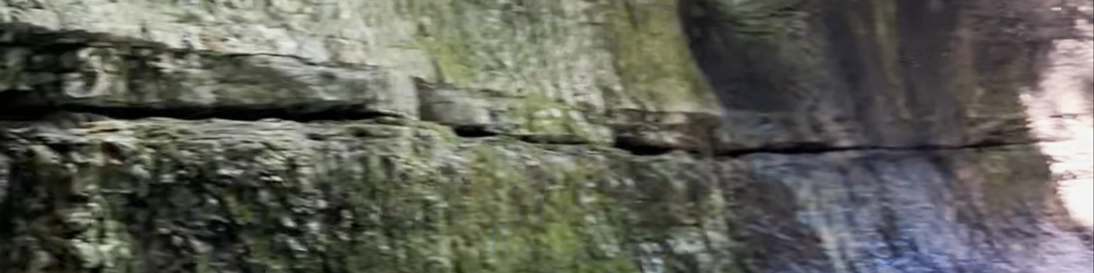 Martvili Canyon