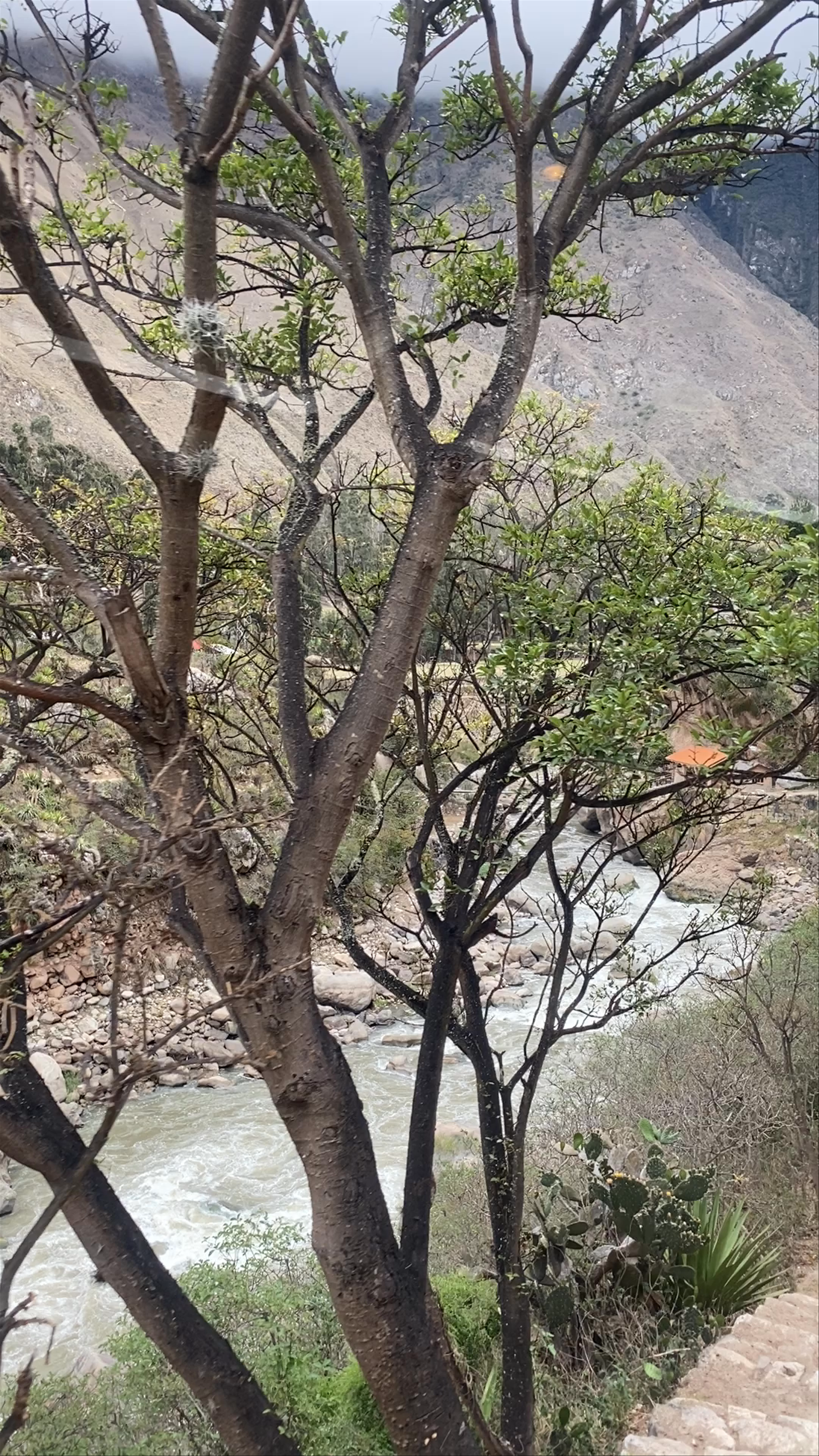 PeruRail - Train to Machu Picchu