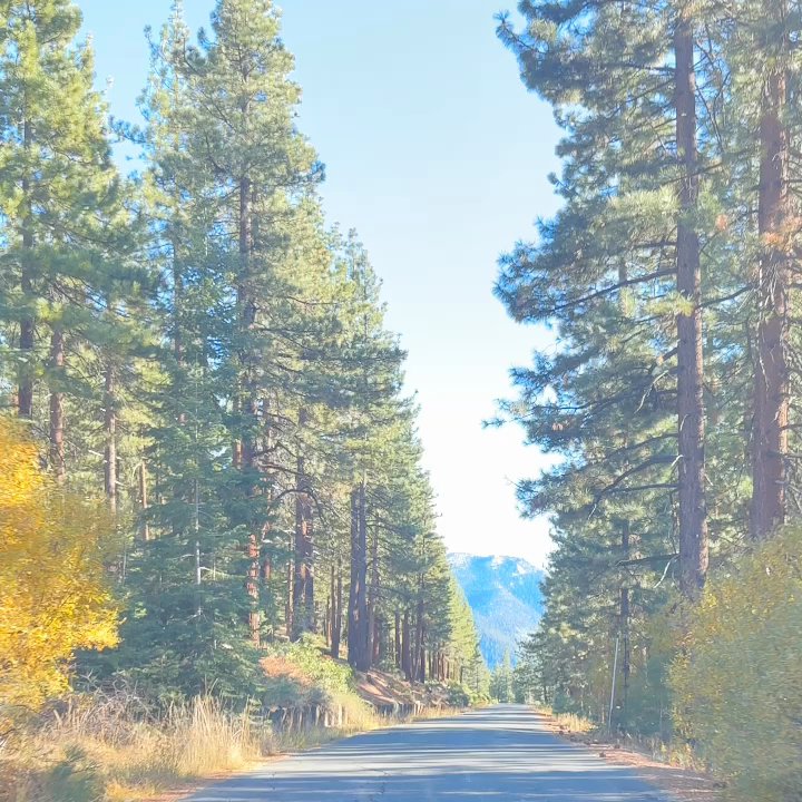 Jonathan Wornardt - eXp Realty - Real Estate Agents Near Me