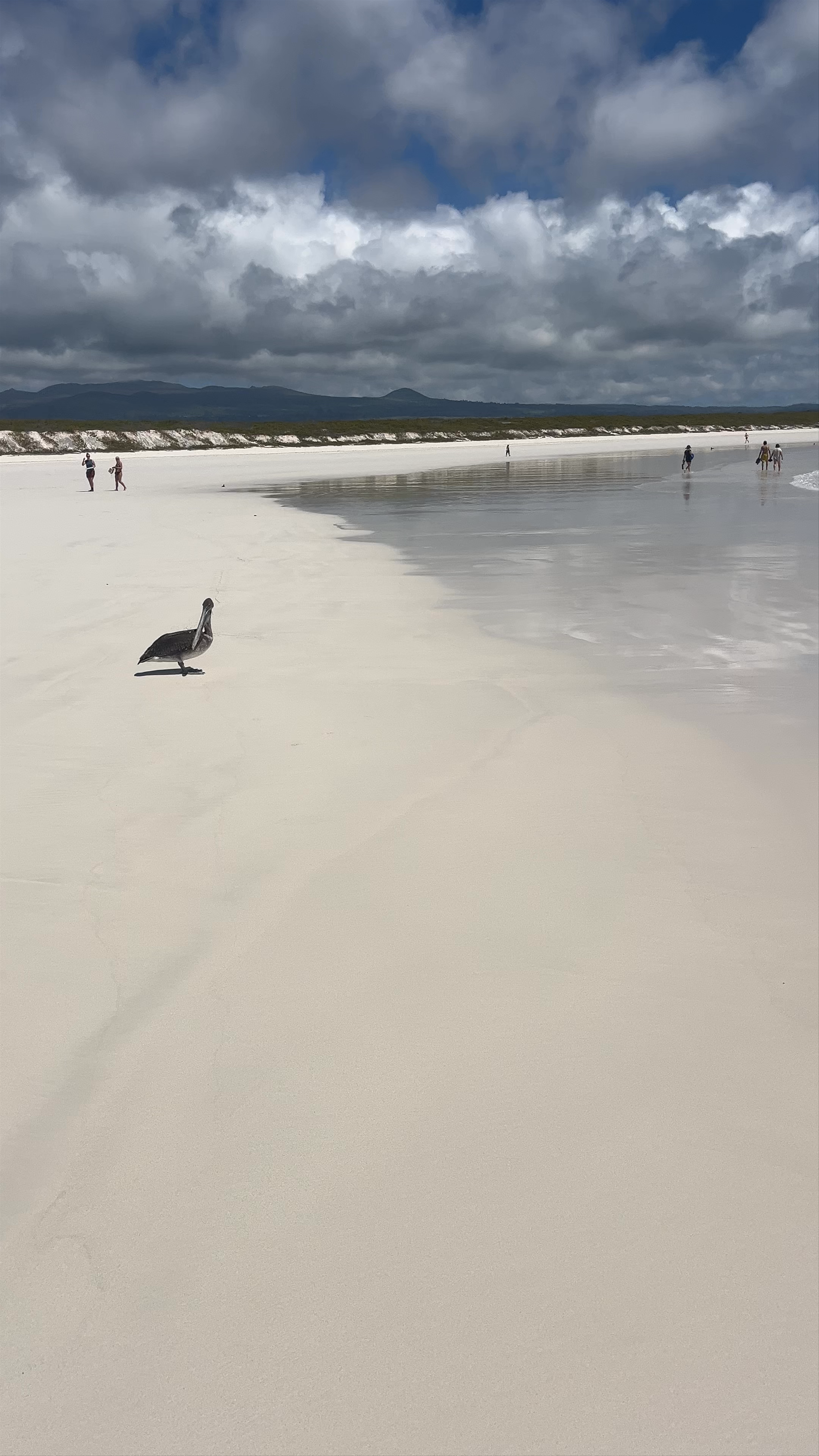 Playa Tortuga Bay: Untouched Paradise in the Galápagos Islands
