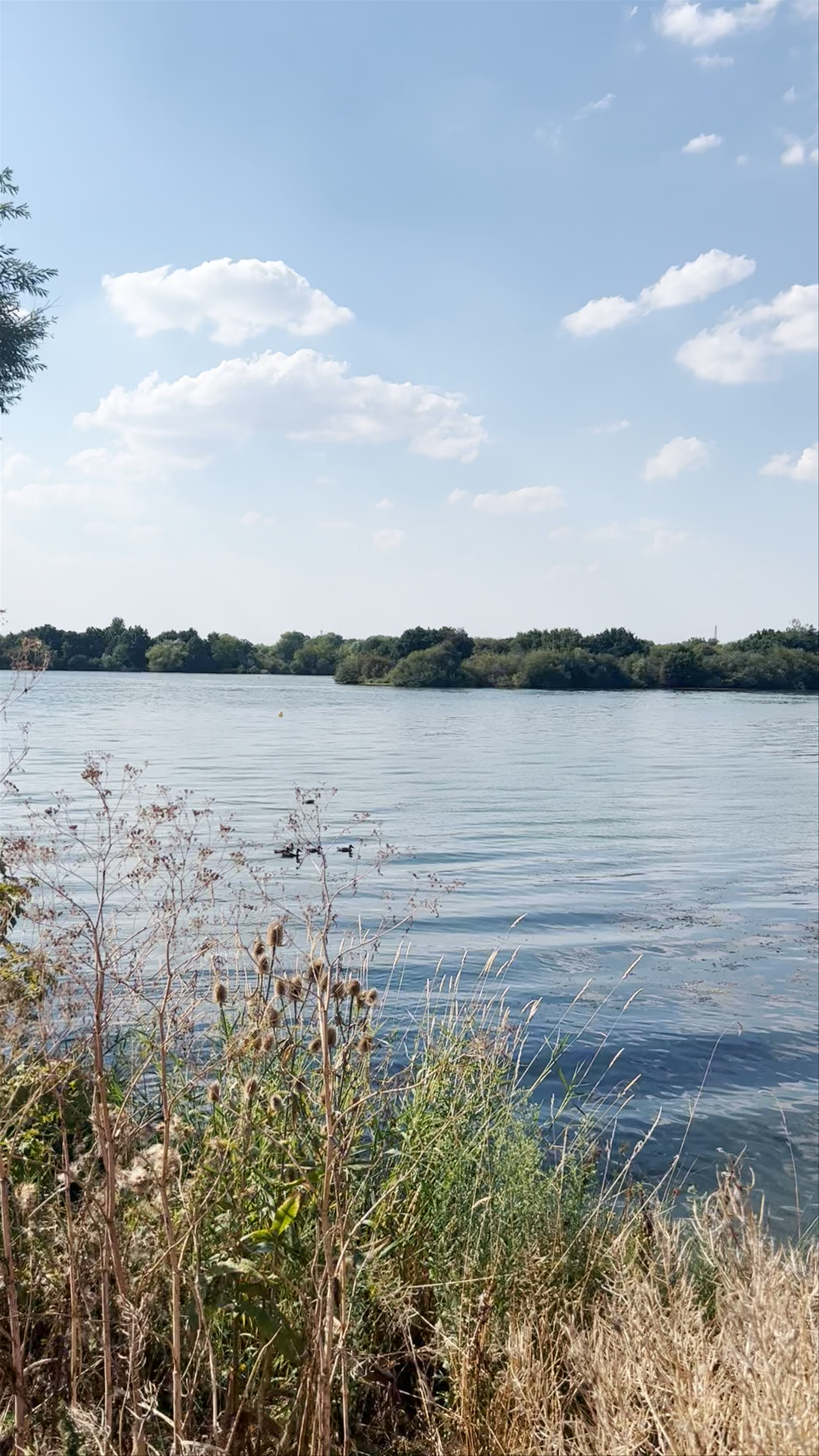 Kingsbury Water Park