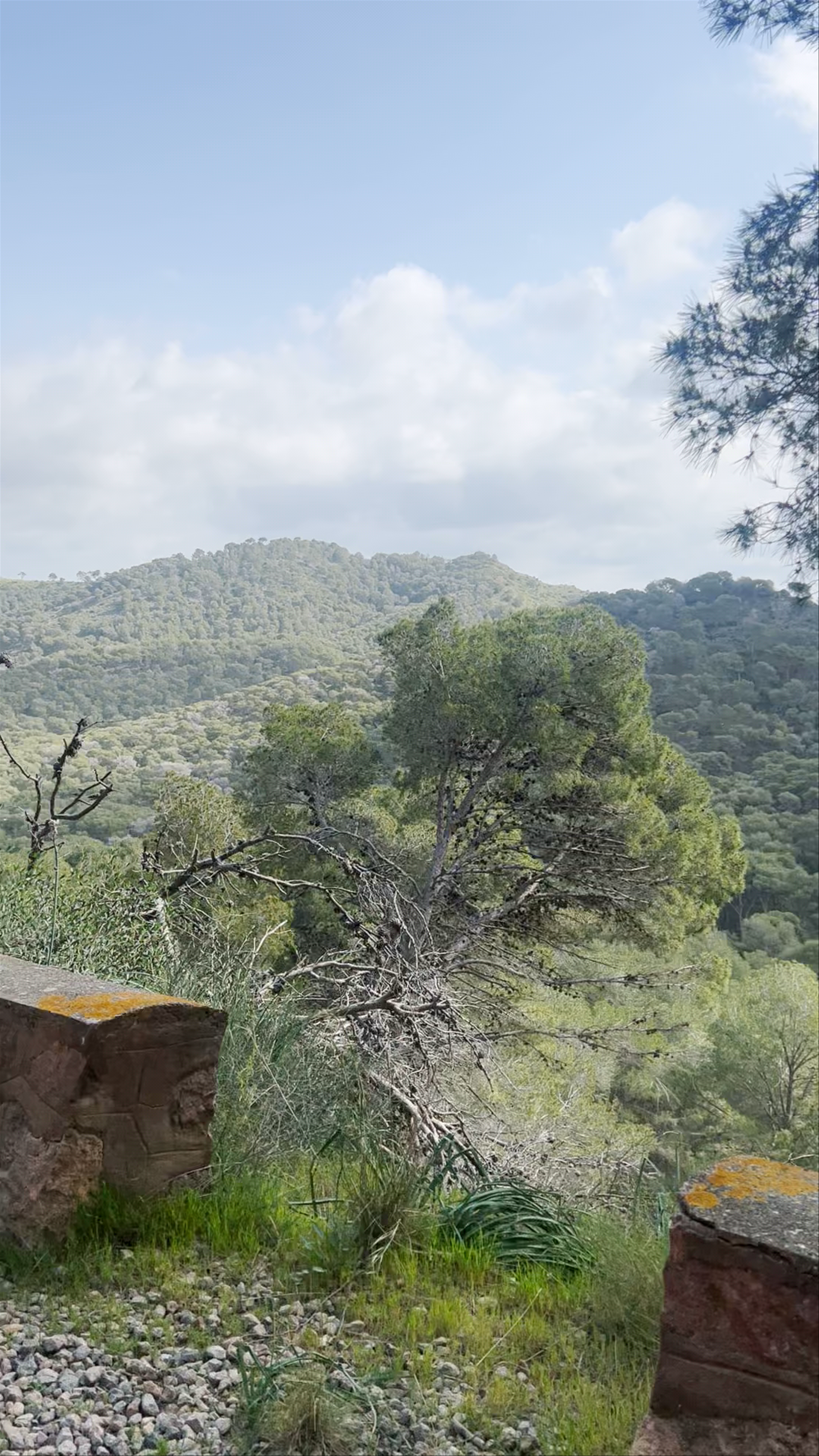 Inicio subida a Las Cenizas