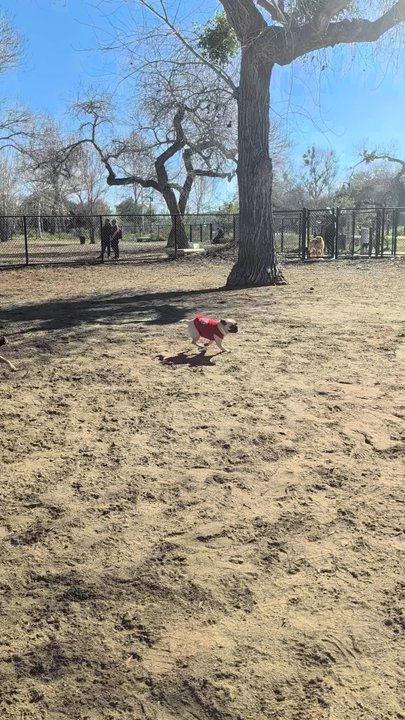 Mast Park - Parks Near Me - Santee, California