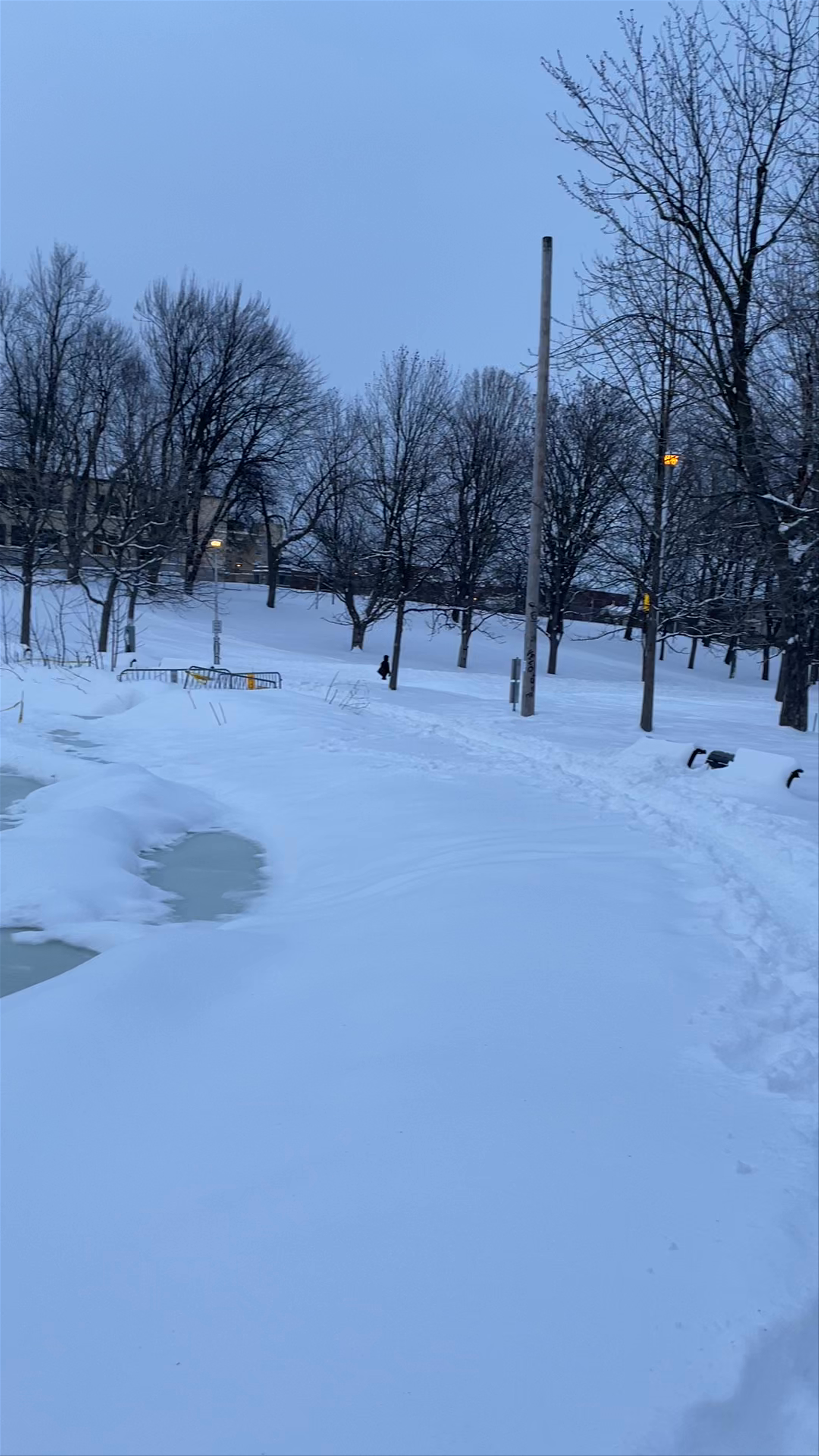 Winter Serenity at Étangs du Parc La Fontaine, Montreal