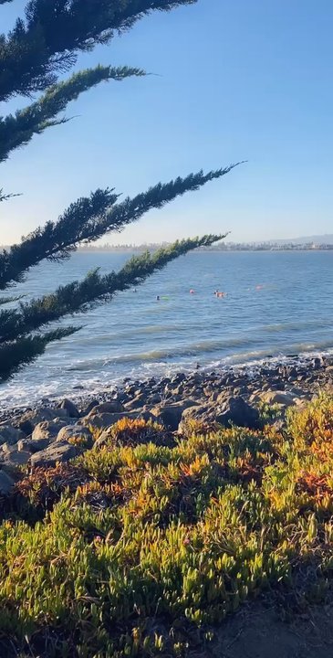 Shoreline Park - Gorgeous video of the view and people swimming in the bay waters - Parks Near Me - Alameda, California