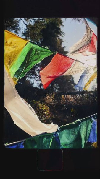 Photo of There are lot of thi