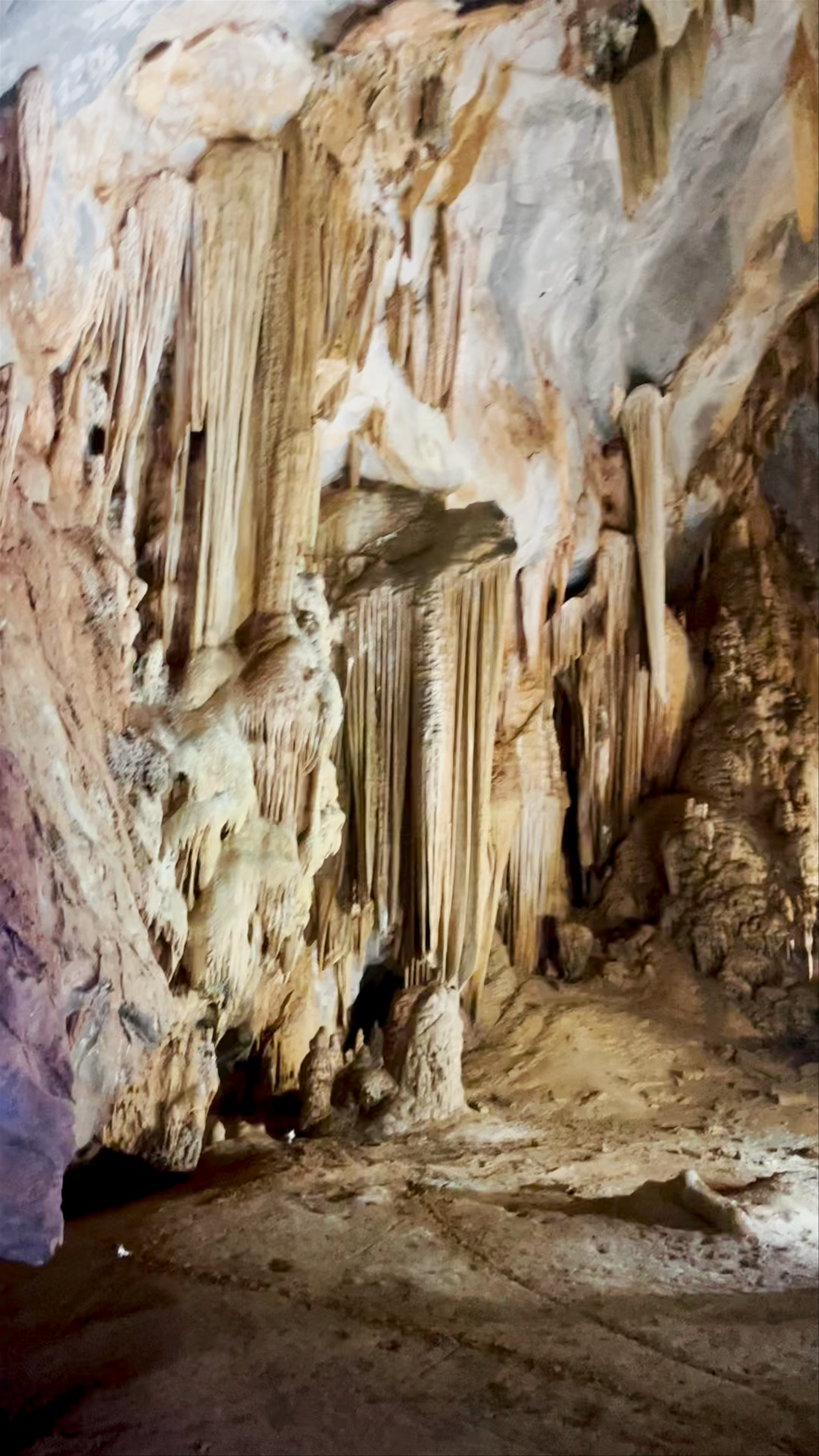 Golden Cave - hang Vàng